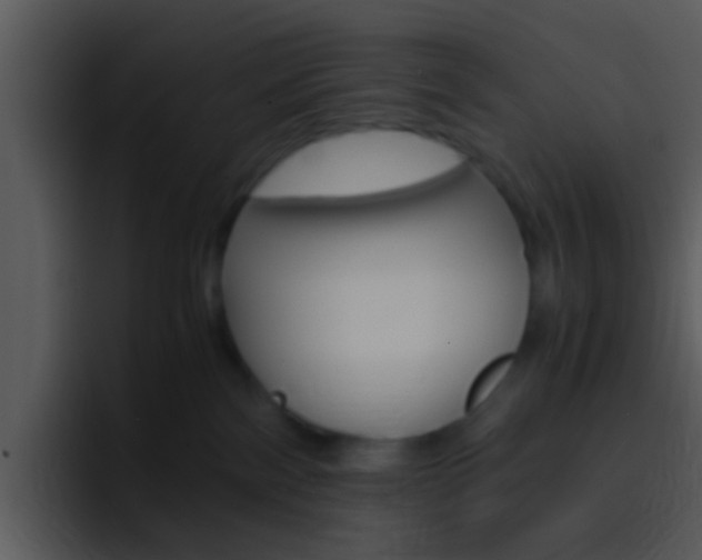 X0000096980138200802080907