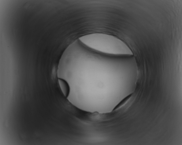 X0000096980142200802080907