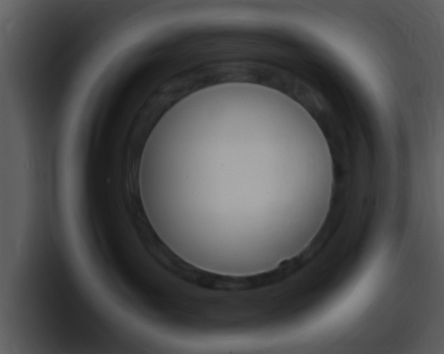 X0000096980143200802080907