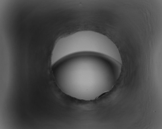 X0000096980144200802080907