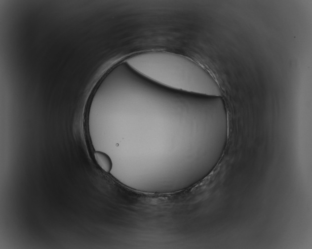 X0000096980147200802080906