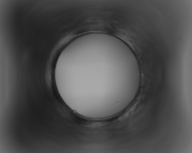 X0000096980149200802080906