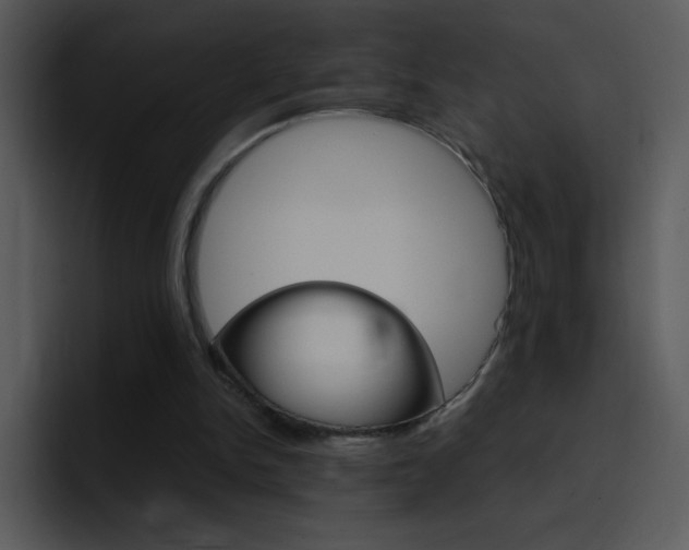 X0000096980150200802080906
