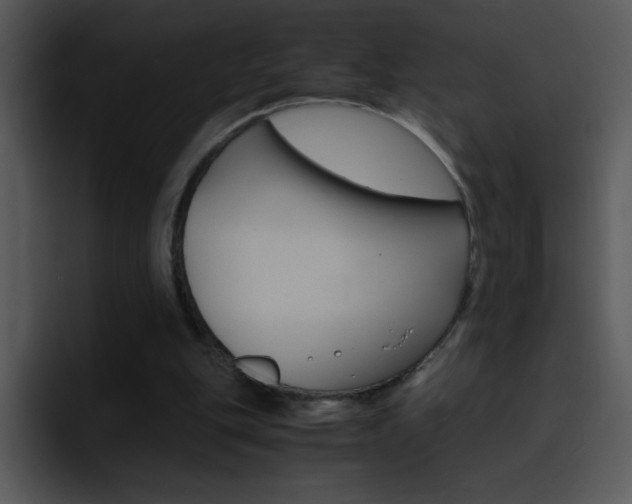 X0000096980151200802080906