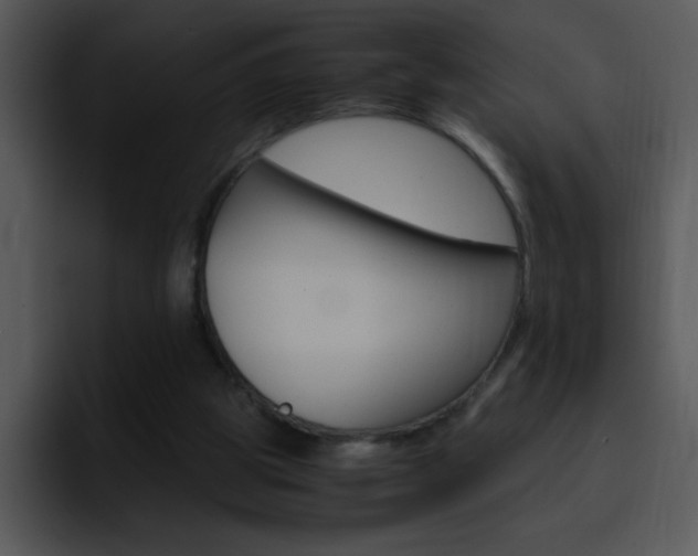 X0000096980153200802080906