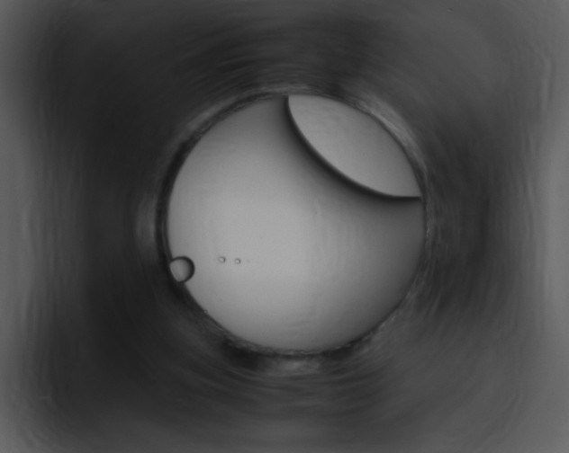 X0000096980155200802080906