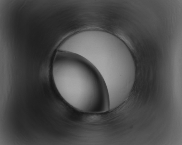 X0000096980156200802080906