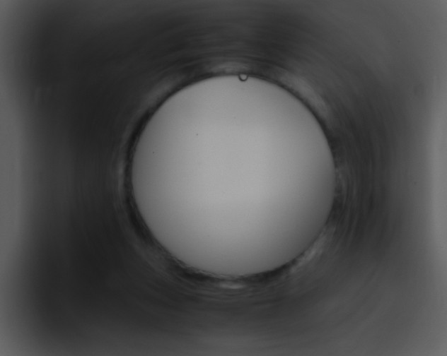 X0000096980159200802080906