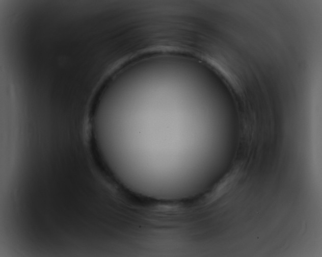 X0000096980160200802080906