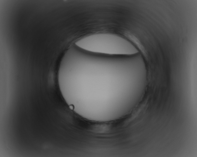 X0000096980161200802080906