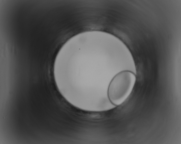 X0000096980162200802080906