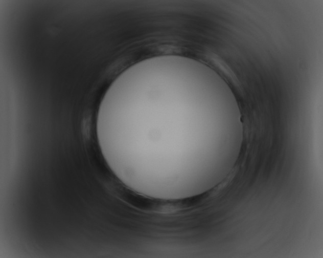 X0000096980163200802080906