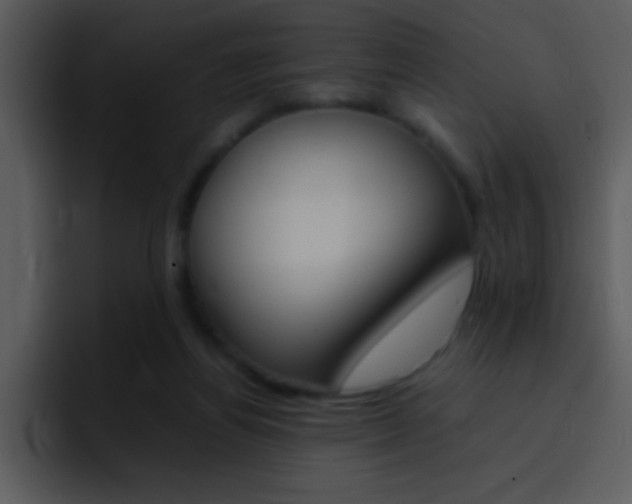X0000096980164200802080906