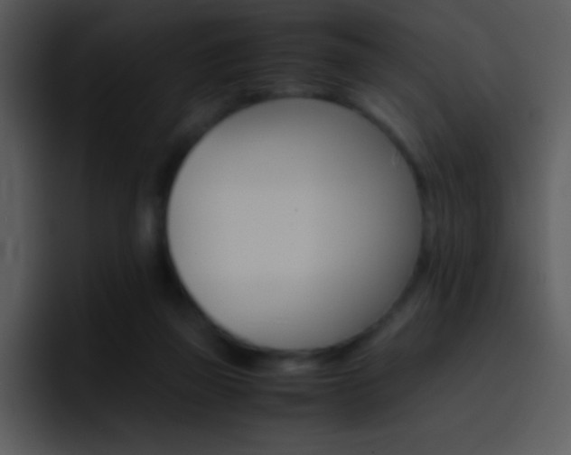 X0000096980165200802080906