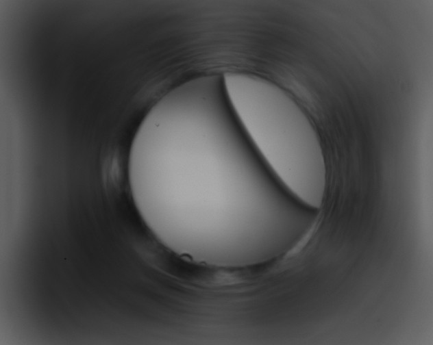 X0000096980166200802080906
