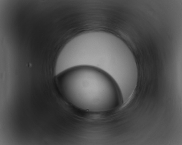 X0000096980170200802080906