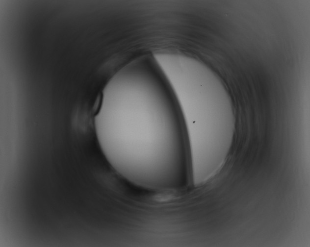 X0000096980172200802080906