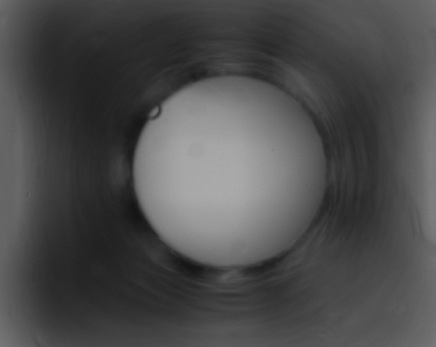 X0000096980173200802080906