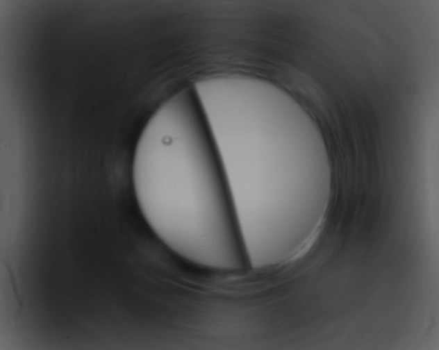X0000096980174200802080906