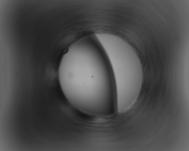 X0000096980176200802080906
