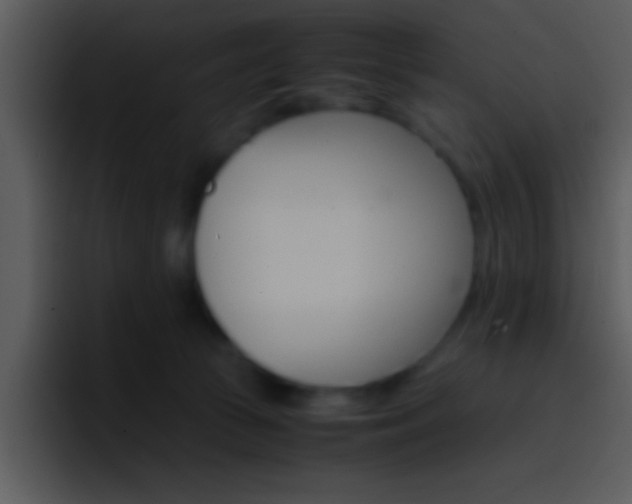 X0000096980177200802080906