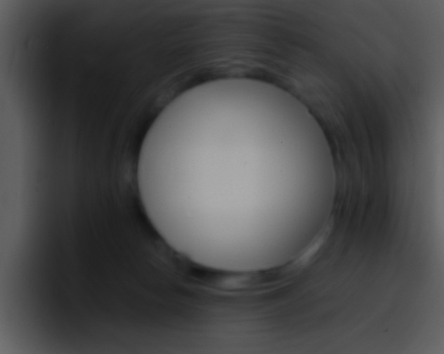 X0000096980178200802080906