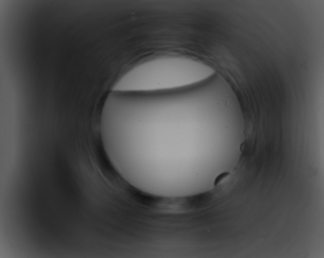 X0000096980179200802080906