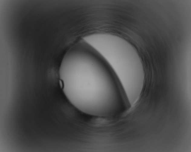 X0000096980180200802080906