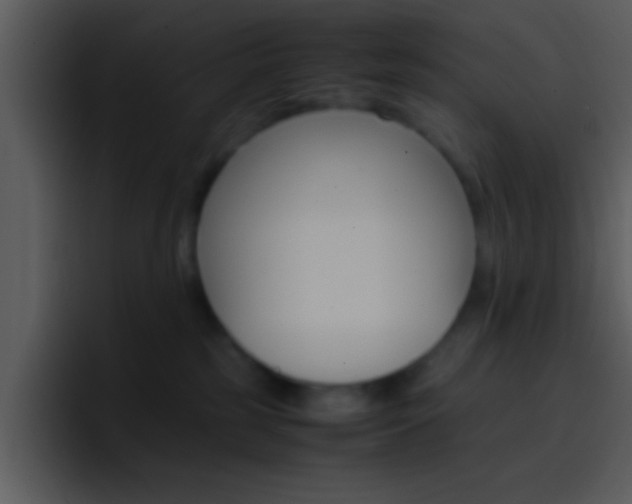 X0000096980185200802080906