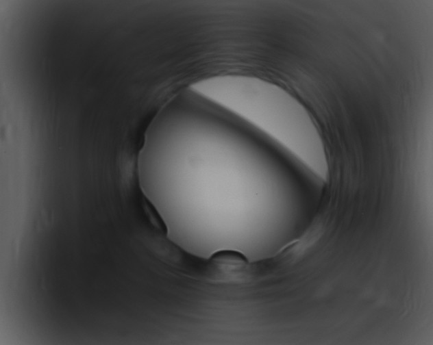 X0000096980188200802080906