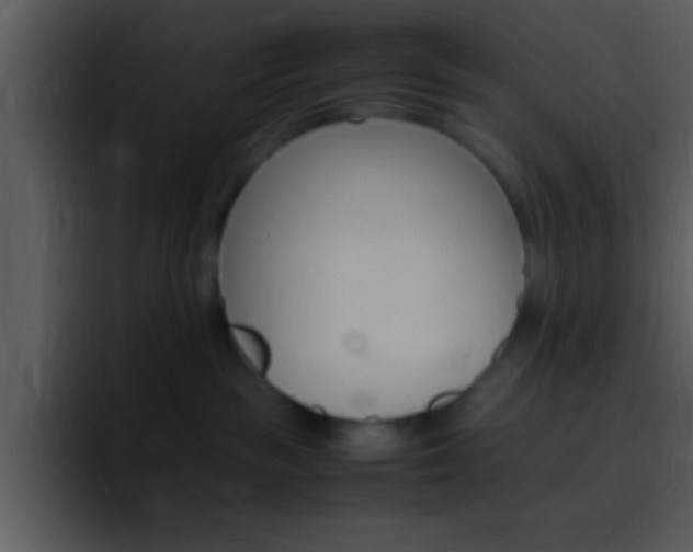 X0000096980189200802080907
