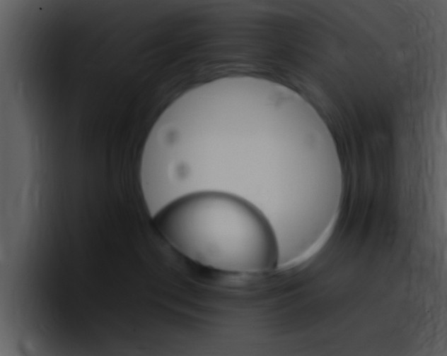 X0000096980190200802080907