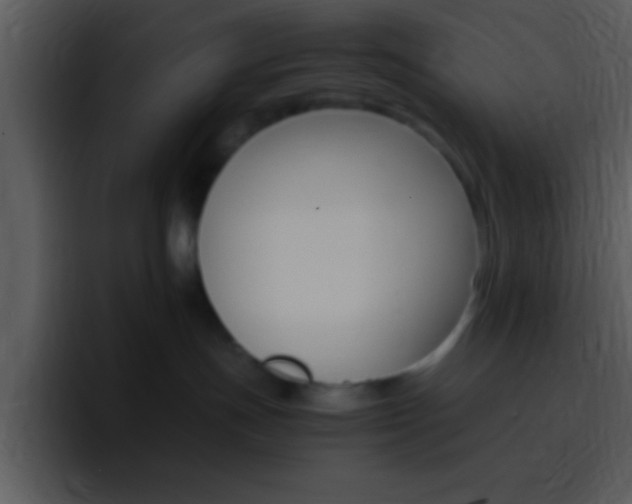 X0000096980191200802080907
