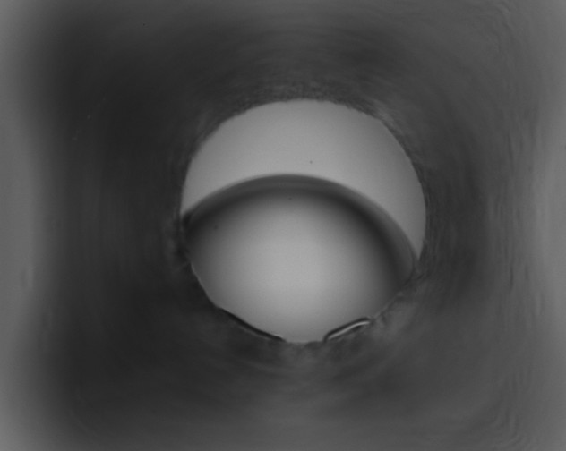 X0000096980192200802080907