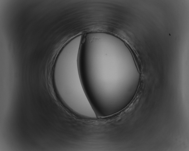 X0000096980193200802080906