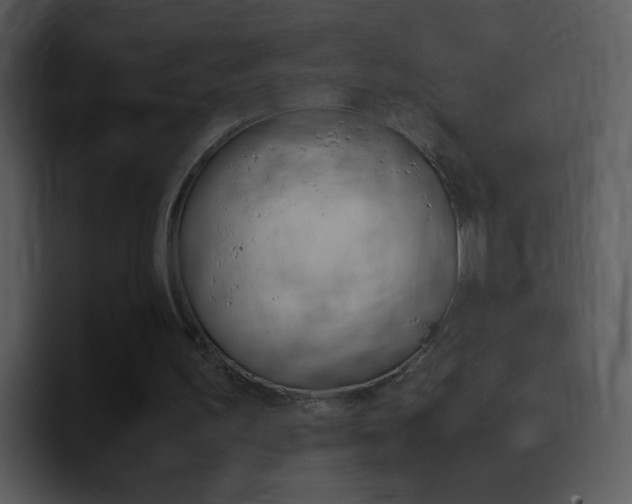 X0000096980195200802080906