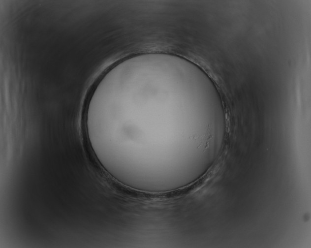 X0000096980196200802080906