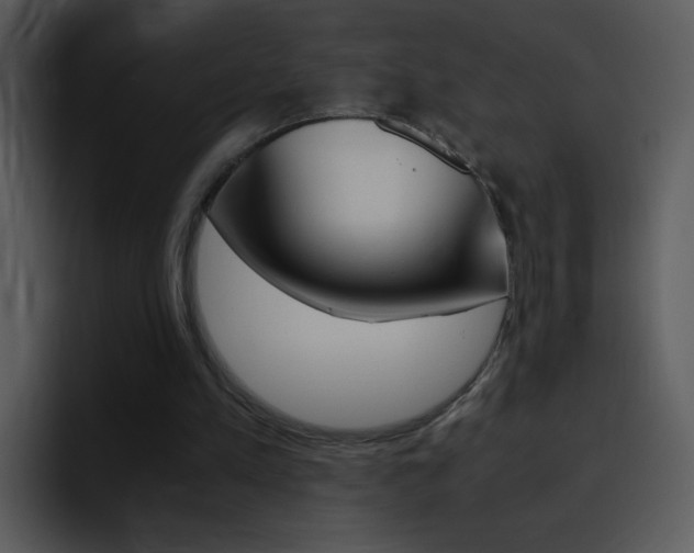X0000096980197200802080906