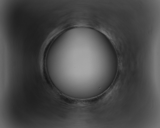 X0000096980199200802080906
