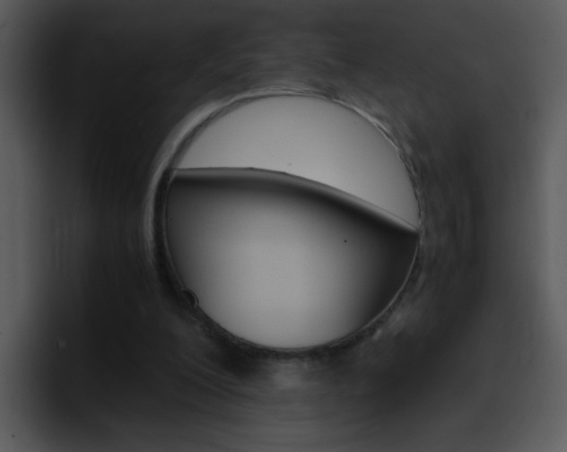 X0000096980200200802080906