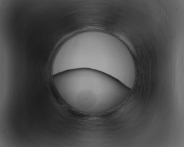 X0000096980204200802080906