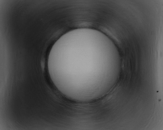X0000096980206200802080906