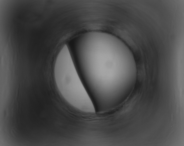 X0000096980207200802080906