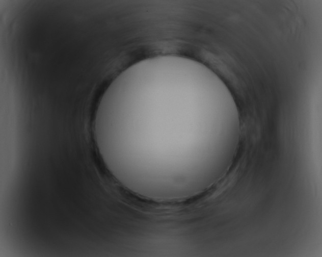 X0000096980209200802080906