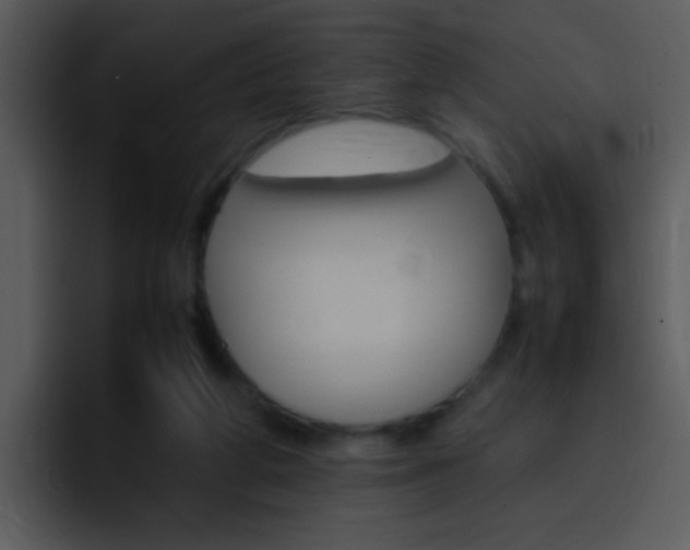 X0000096980210200802080906