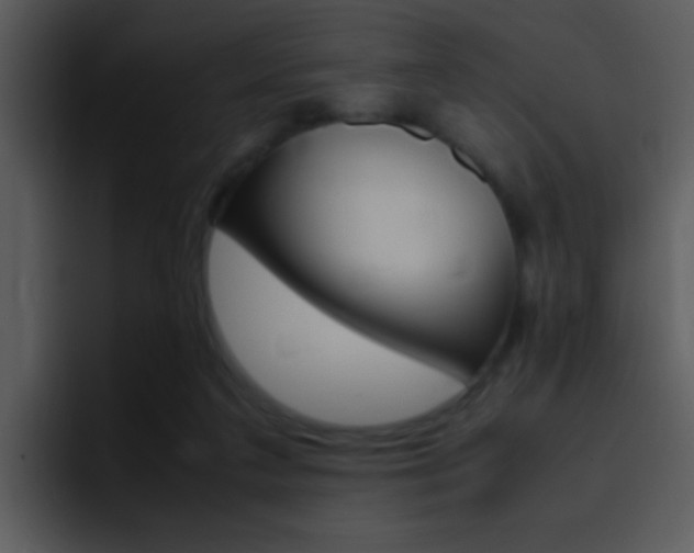 X0000096980211200802080906