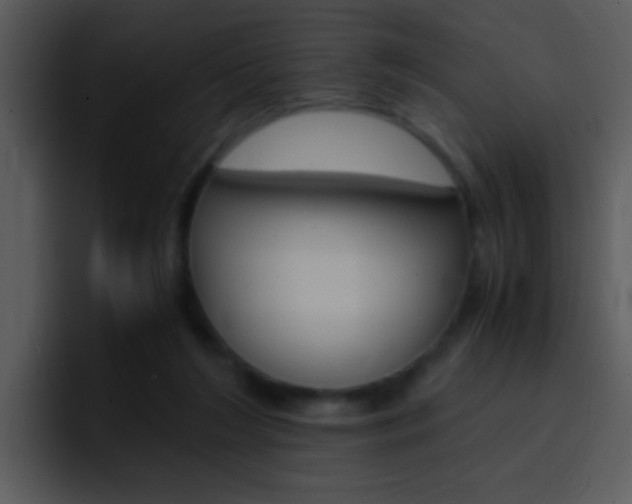 X0000096980212200802080906