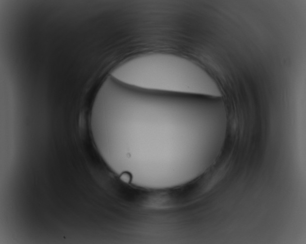 X0000096980214200802080906