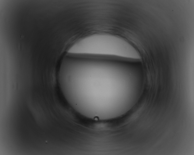 X0000096980216200802080906