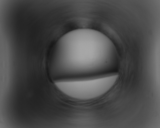 X0000096980217200802080906